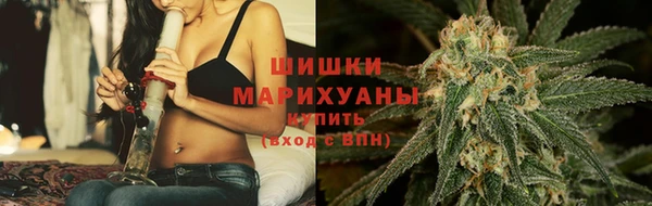 метадон Богданович