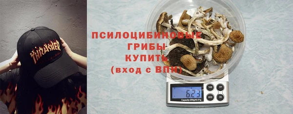 ECSTASY Богородицк