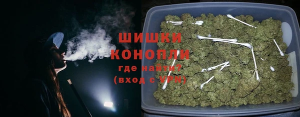 ECSTASY Богородицк