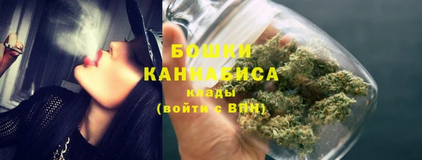метадон Богданович