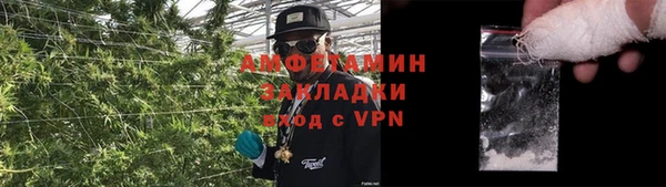 метадон Богданович