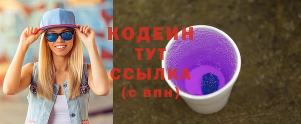 метадон Богданович