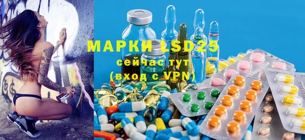 метадон Богданович
