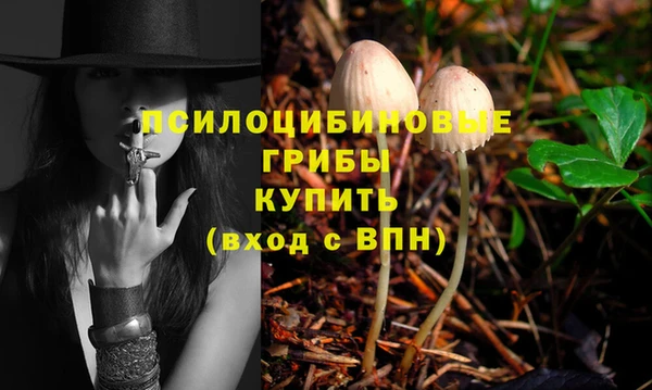 амф Карпинск