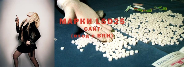 метадон Богданович