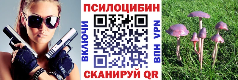 где можно купить   Семилуки  Псилоцибиновые грибы прущие грибы 
